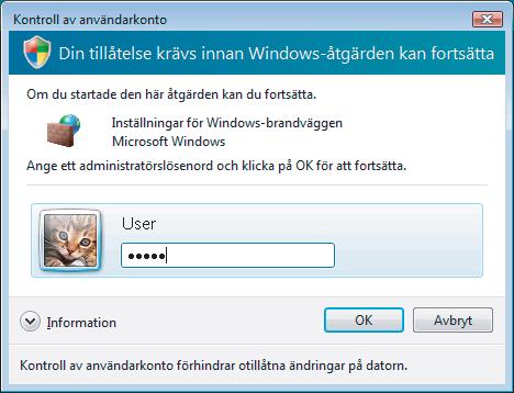 2 Gör följande när skärmen Kontroll av användarkonto visas. Användare som har administratörsrättigheter: Klicka på Fortsätt.