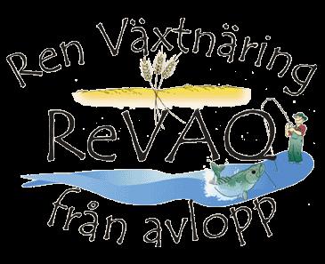 ReVAQ Oönskade organiska ämnen Hur kan vi reducerar deras närvaro i slam?
