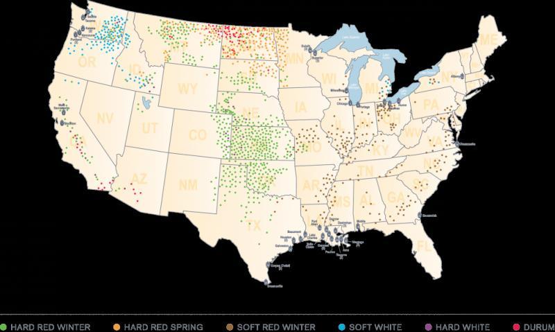 Sida 5 av 8 Nedanstående bild visar odlingsområdena i USA för olika slag av vete.