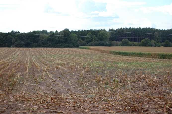 15 ha åkermark norr om Algutsrum, Öland.