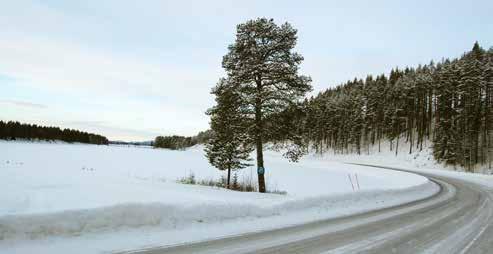 Entré Malå För sträckan närmast Malå ska omtanke ägnas åt detaljer för att skapa upplevelse av att man närmar sig en större ort se, figur 5.