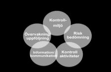 INTERN KONTROLL I REGION SKÅNE 1. IK Information 2. IK Sammanställning (underlag f RS uppsiktsplikt) 3. IK Riskmatris 4. IK Riskbedömning - lista (plan) 5.