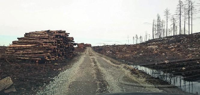 Vägarna i brandområdet Påfrestningen på vägarna i brandområdet var mycket stor. Branden och släckningsarbetet skadade vägarna.