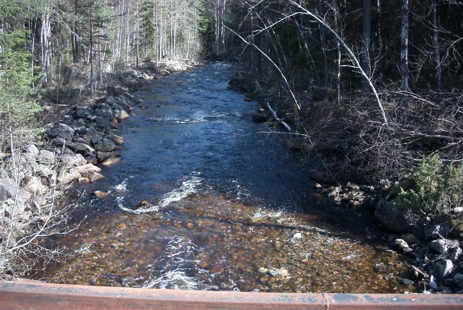 Tidigare utgjorde vägövergången som byggts ovanpå ett gamalt dammfundament, ett vandringshinder för fisk men år 22