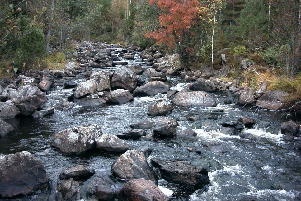 - LURÅN - Falu kommun - Figur 1.CX. Lurån är i huvudsak orensad trots omfattande mänskliga påverkan i form av ett flertal dammkonstruktioner.