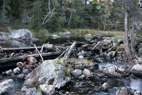 - LURÅN - Falu kommun - a) b) Figur 8.CX. Rester efter en sågdamm i Lurån som utgör vandringshinder för lekvandrande öring.