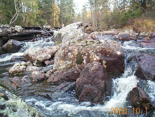 Genomförda och planerade förändringar Målområden Fjällgrycksån/Krokforsån borde vara målområde men tillgängligheten för vattenkemisk provtagning är begränsad under våren vilket försvårar