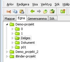 Chaos desktop manual Projektfönster Projektfönstret som ligger längst upp till vänster visar alla mappar, enheter och eventuella projekt som du har tillgång till.