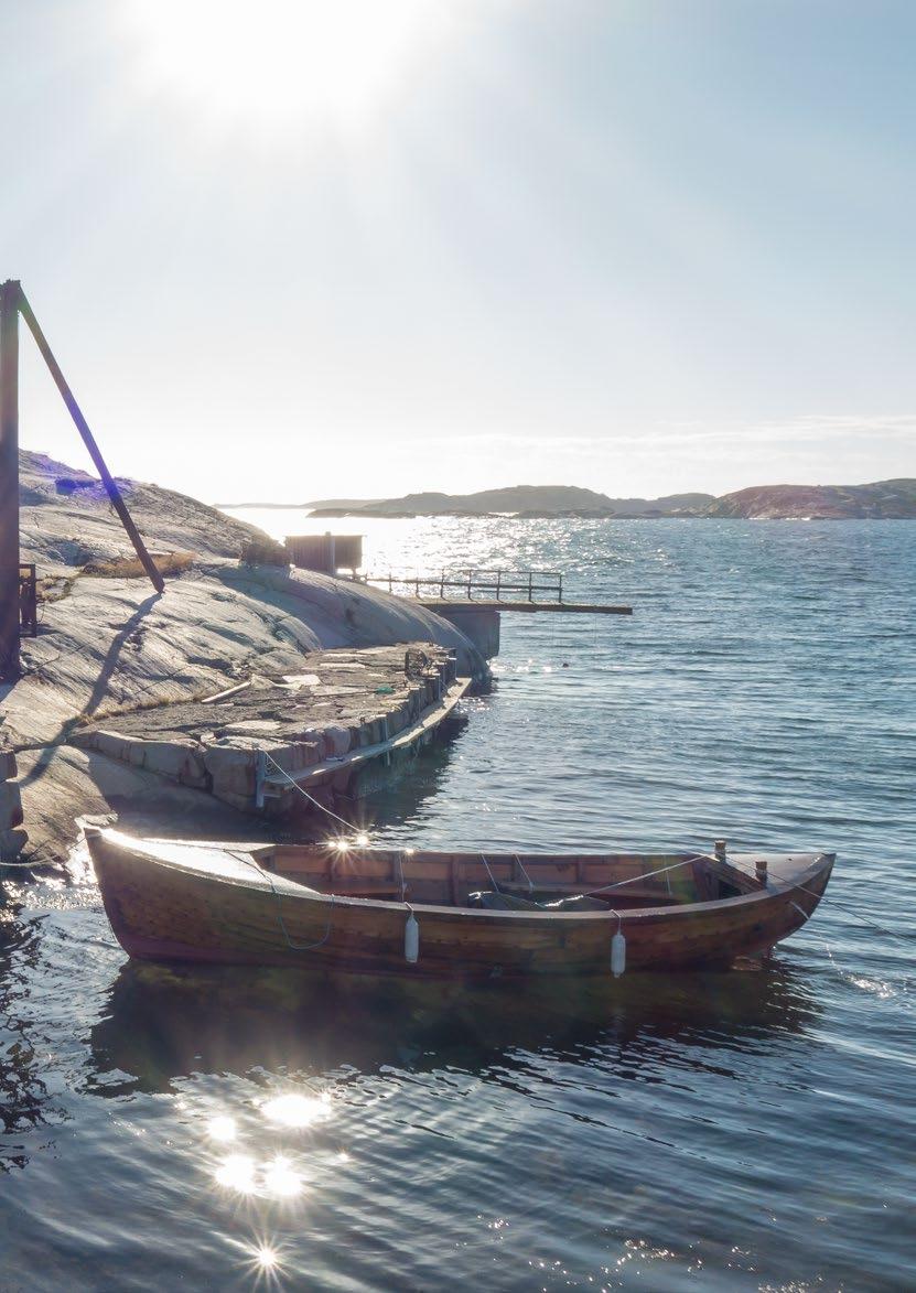 Nu blickar vi in år 2017 med full tillförsikt då SBF har 95 årsjubileum