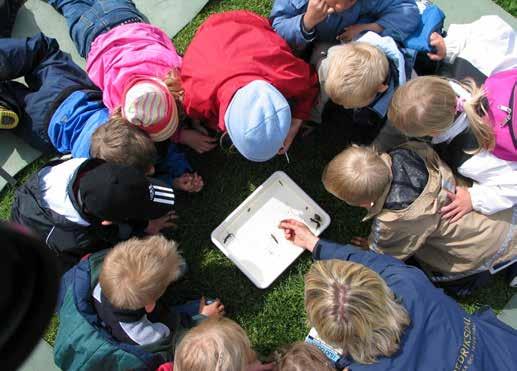 Fredriksdal museer och trädgårdar: Här undersöks småkryp med Fredriksdals pedagoger Foto: Sven Olof Larsén Vad innehåller en regional kulturplan?