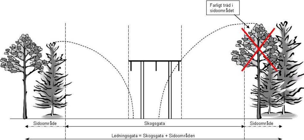 Buffertzon kring kraftledningar Skog röjs runt kraftledningar inom den så kallade skogsgatan.