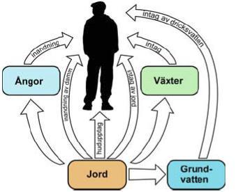 2.2.1 Beskrivning av modell för beräkning av riktvärden All information om modellen är hämtad från Naturvårdsverket, 2007 2.