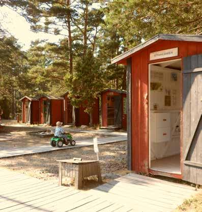 tillgänglighetsanpassade Håva vid stranden Holksnickeri Tipsrunda ÅTERKOMMANDE AKTIVITETER Dagligen under säsongens