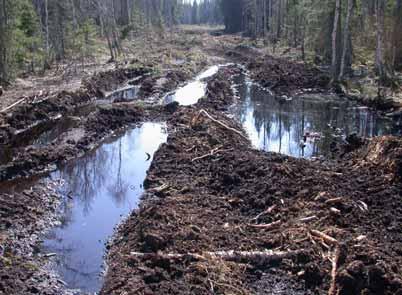 I områden där en relativt stor andel av våtmarkerna är hydrologiskt påverkade bör ytterligare påverkan bara förekomma om starka allmänintressen föreligger och möjligheterna till kompensationsåtgärder