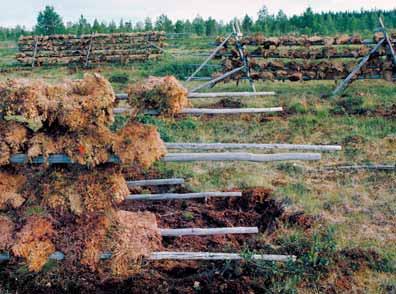 13 Våtmarker med mycket höga natur- och kulturvärden (motsvarande klass 1 i våtmarks- eller sumpskogsinventeringen) bör bevaras.