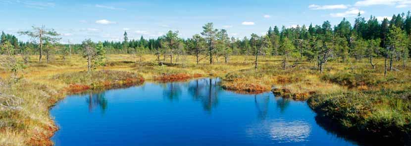 16 Bevarande av våtmarker Med långsiktigt skyddade våtmarker avses i detta sammanhang sådana våtmarker som omfattas av områdesskydd i form av nationalpark, natur- och kulturreservat, biotopskydd,