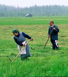 Metodutveckling Genom pilotprojekt bör olika restaureringsmetoder prövas och utvärderas i olika typer av myrar och sumpskogar för att bland annat