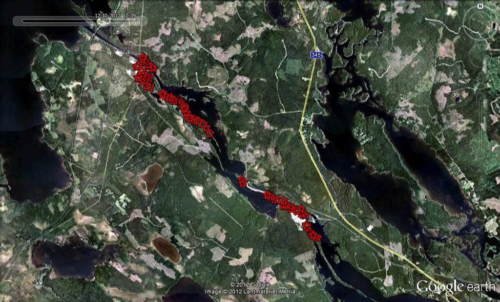 långt och cirka 70 meter brett. Men rikligast förekommer klådris i ett 30-40 meter brett och 200 meter långt område, cirka 0,6 hektar stort. Där uppskattas antalet till över 20 000 exemplar.