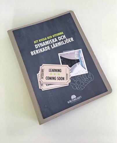 För att kunna förstå och bearbeta komplexa sammanhang och abstrakta koncept vill hjärnan utforska med alla sinnen. Här presenterar vi tio steg för att bygga en hjärnberikad miljö.