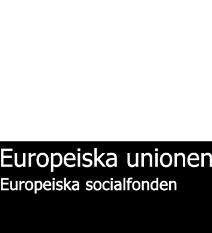 Uppgifterna om deltagarens utgångsläge ska beskriva deltagarens situation då han eller hon första gången började delta i projektet.