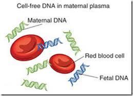 Bakgrund cffdna Volume 350, Issue 9076, 16 August 1997 Presence of fetal DNA in maternal plasma and serum Dennis Lo et al.