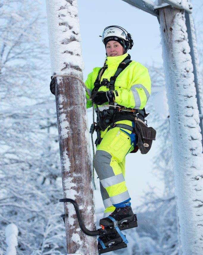 konstatera att kunderna i nätområde Nord totalt drabbas av avbrott under nästan sju gånger så lång tid varje år jämfört med kunderna i nätområde Syd. Även denna skillnad har ökat över tid.