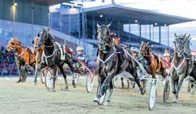 Super Trot up Treåringrns Sommrpris* Åergs Näst! med uttgning till Breeders ourse yers old NATT-TAV BUDE PÅ SPÄNNING Sommr, sommr oh sol är inledning på v de populärste sommrlåtrn.