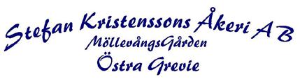 Så ovsett om det är dgs tt ok hösts kikoff, stor kongress eller årets ll julord så kn du räkn med ovnligt god & nyttig mt.