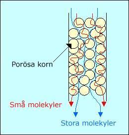 Gelfiltrering separation av stora och små molekyler Stora molekyler passerar mellan polysackaridpärlor Mindre partiklar åker