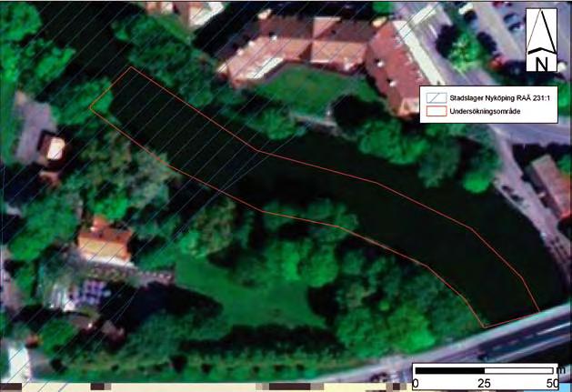 Bakgrund I samband med Nyköpings kommuns planer att renovera kajskoningen vid den västra kajkanten av Nyköpingsån mellan hamnbron och Tovastugan beslöt länsstyrelsen i Södermanlands län att en arkeo