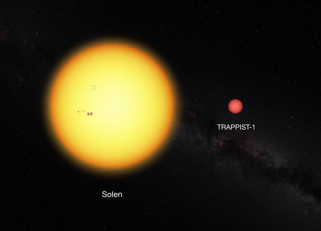 Vi kan för enkelhetens skull säga att solens radie är 700000 km och Trappist-'s 80000 km.