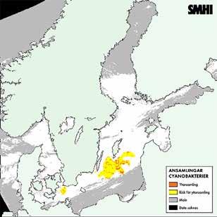 I figuren presenteras endast ett urval av de satellitbilder som tolkats