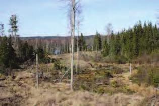 Ytskiktet består av mulljord eller mullhaltig jord inom moränmarken och har i allmänhet en tjocklek av ca 0.-0.3 m. Den organiska jorden består inom sankmarkerna i huvudsak av torv.