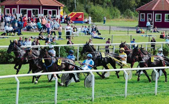 FRI ENTRÉ MOT UPPVISANDE AV DENNA ANNONS ELLER ÅBYS HÄSTÄGARKORT LADY JOCKEYS THOROUGHBRED WORLD