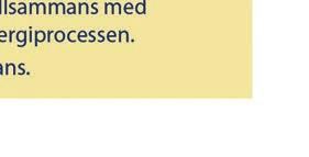 Målet måste vara väldefinierat, meningsfullt och framför allt ska personen känna ägarskap i det. Dessutom har personens självförtroende och tilltro till sina förutsättningar stor roll.