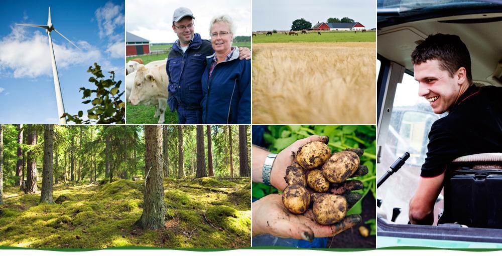 Djurägarens roll vid kontroll