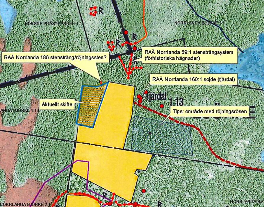 Bakgrund Arendus har på uppdrag av Länsstyrelsen Gotlands län utfört en arkeologisk utredning inför en anhållan om att lägga om skogsmark till åkermark inom en del av fastigheten Björke 1:13 i