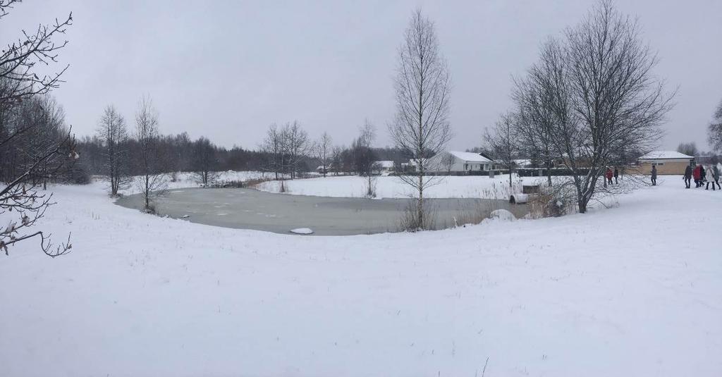 runoff enters the pond.