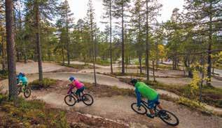 Idre Fjäll vill erbjuda Nordens mest lekfulla cykelupplevelse för hela familjen! Vi önskar fortsätta utveckla cykelupplevelsen på Idre Fjäll många år framöver.