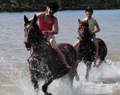 För 30:e sommaren i rad erbjuder hästgänget i Östens anda underbara upplevelser på hästryggen i storslagen fjällnatur.