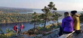 Vi samarbetar med de flesta turistföretag i Dalsland och kan erbjuda färdiga paketlösningar med kanalbåtar, cykel, dressin, kanot och vandring.