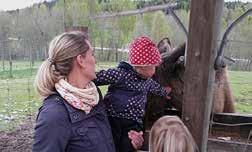 Parken ligger på Steneby gård mitt i Dalslands vackra landskap. Här får man mata och klappa våra tama älgar samt även titta på dovhjortar som strövar fritt i hägnet. Öppet juni - aug.