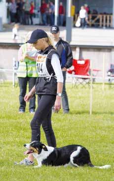 Inför momene Inkallning går förare och hund in på planen och sannar vid en markering där hunden ska läggas ner.