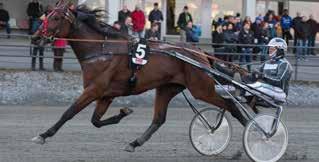 UMÅKERS TREÅRINGSELIT Tidigare vinnare Häst Ägare Kusk Tid Odds 2007 Dandie Palema Big Slick Racing AB, Umeå Patrik Nygren 16,2 8,65 2008 Doyouwanttodance Stall Lag Hanna Olofsson 16,4 3,13 2009 You