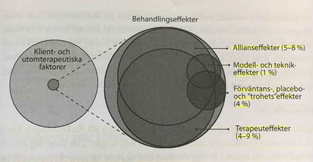 personlighet och terapeutiska förmågor är också avgörande faktorer (Miller & Bertolino, 2015).