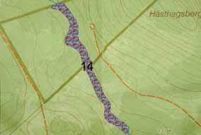 Lokal nr 14 Hästhagsberget, Hemstanäs, Holmsveden, Bollnäs kommun 2005-10-17 Naturreservat med ganska små