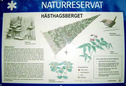 Hästhagsberget