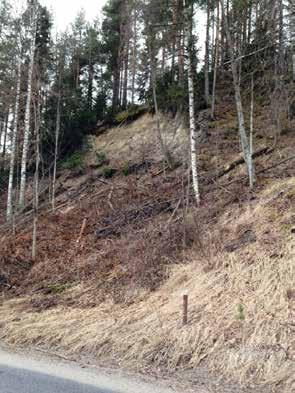 Sida 24 av 94 Ravinbildning är vanlig i hela länet, framförallt i siltjord utmed såväl mindre som större vattendrag (SGI 2010).