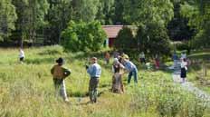 Samling vid Naturens rum, Alby Friluftsgård. Ta gärna med lite morgonfika! Och kikare om du har. Annars får du låna. Har du inte tidigare varit med på en Fågelmorgon, är du särskilt välkommen!