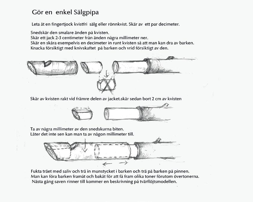 I sommar ska förhoppingsvis sälgpolskan Klinga ut (nåja) över Finnforsbergets sluttningar igen, denna gången från ett plaströr för eldragningar.